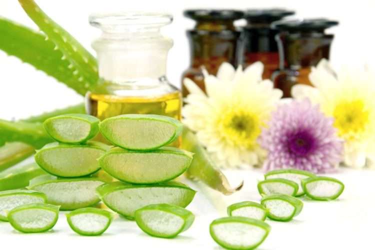 Gel di Aloe Vera estratto dalla foglia ricco di polisaccaridi e principi attivi