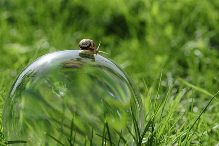 siero di lumaca puro; benefici per la pelle